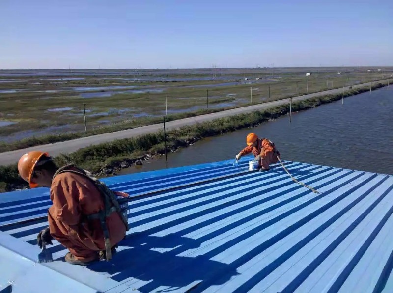 沂水彩钢瓦屋面防腐翻新